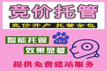 某SEM外包公司成功案例分享：ROI大幅提升